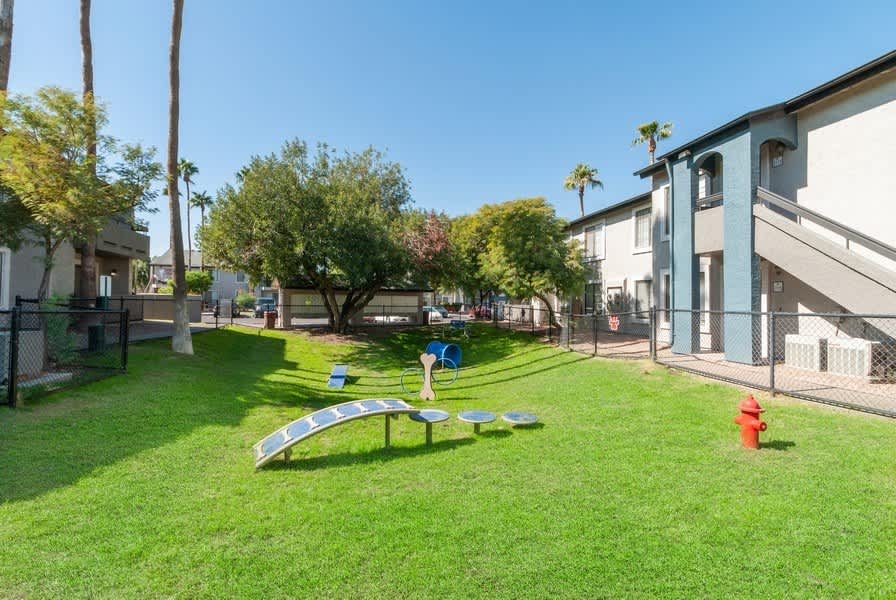 Palms at South Mountain – photo 4