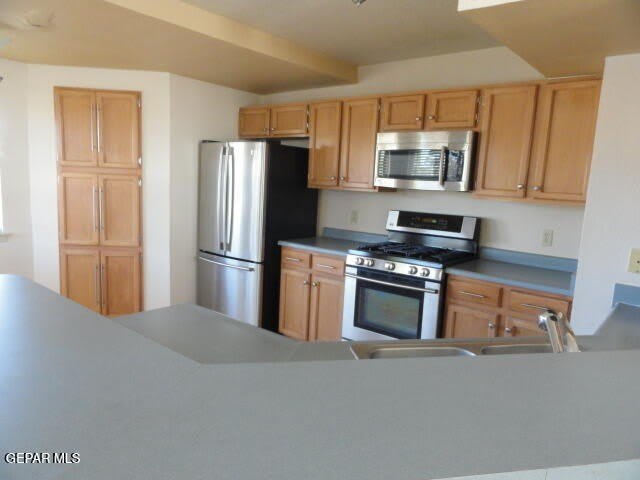 7233 Night Hawk Drive – photo 4