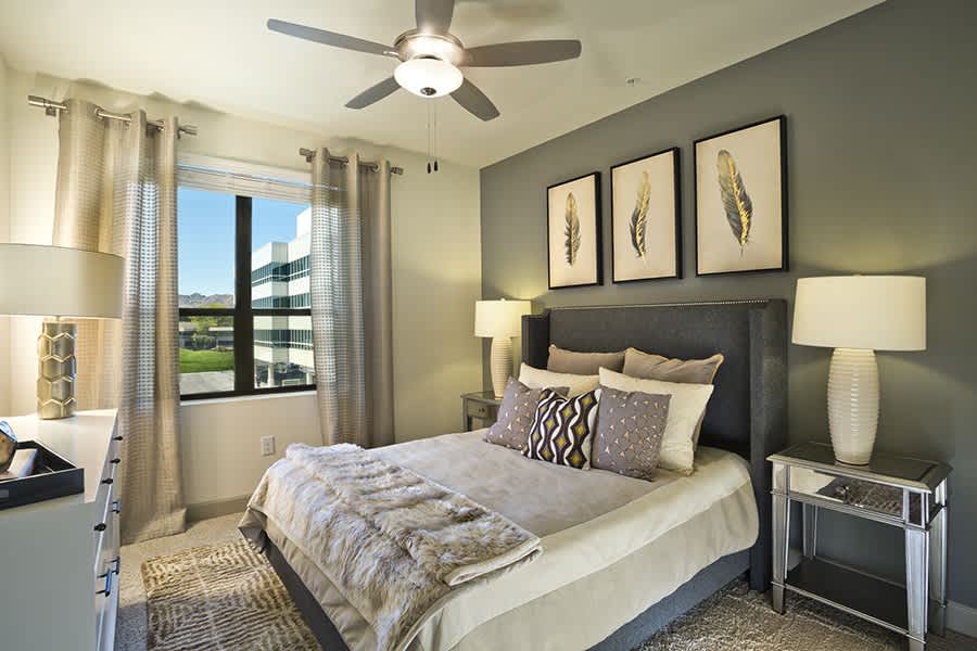 Citrine Apartments Arcadia – photo 5