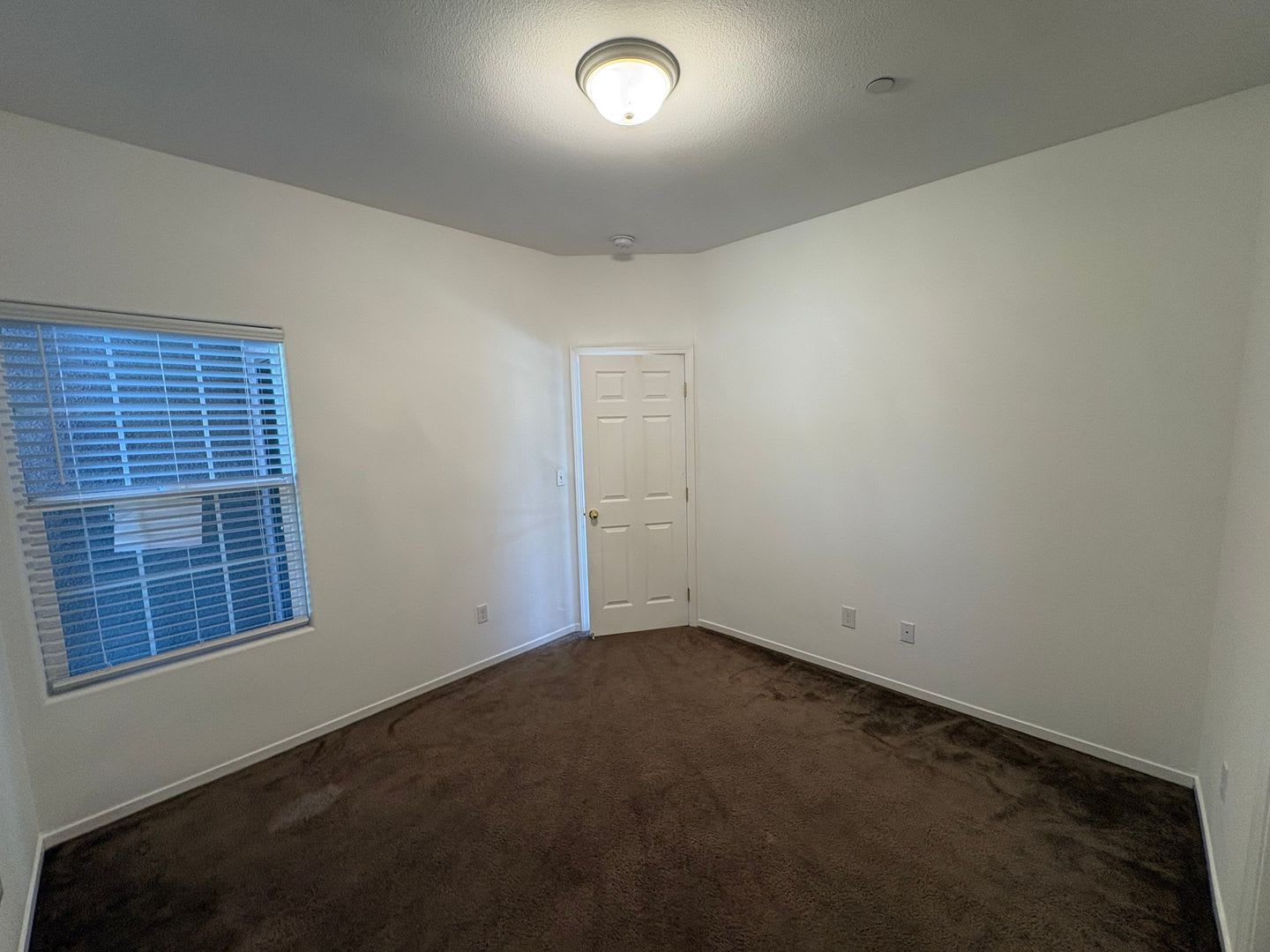 Spacious 4 Bedroom House! View it Now! – photo 5