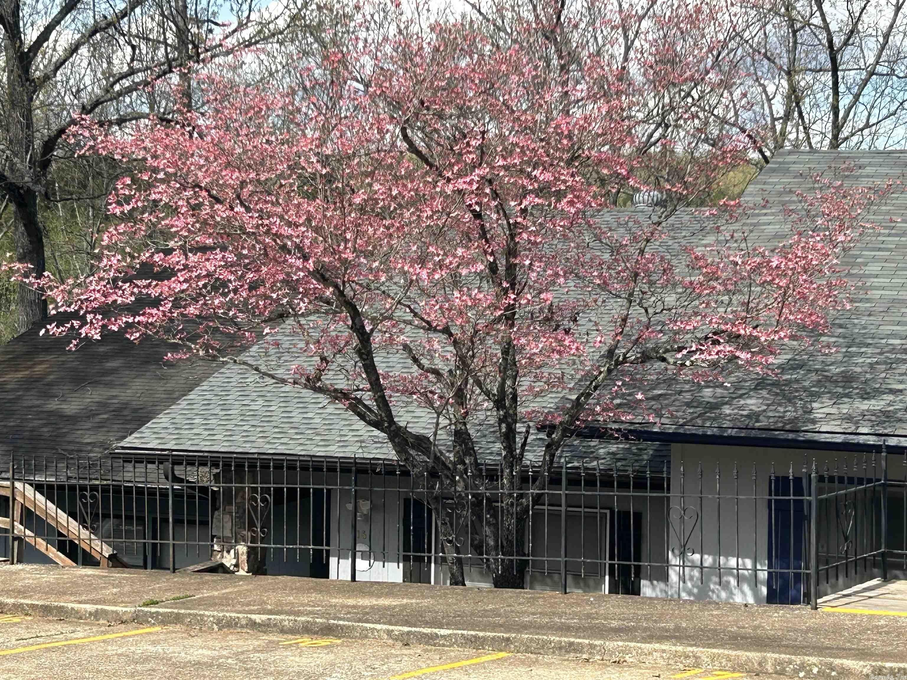 16 Akokisa Drive – photo 1
