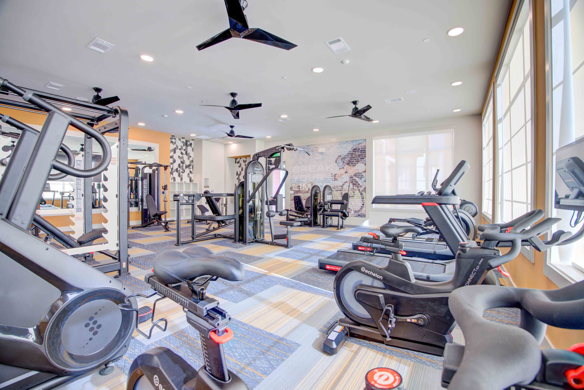 Sendero Trace – photo 4
