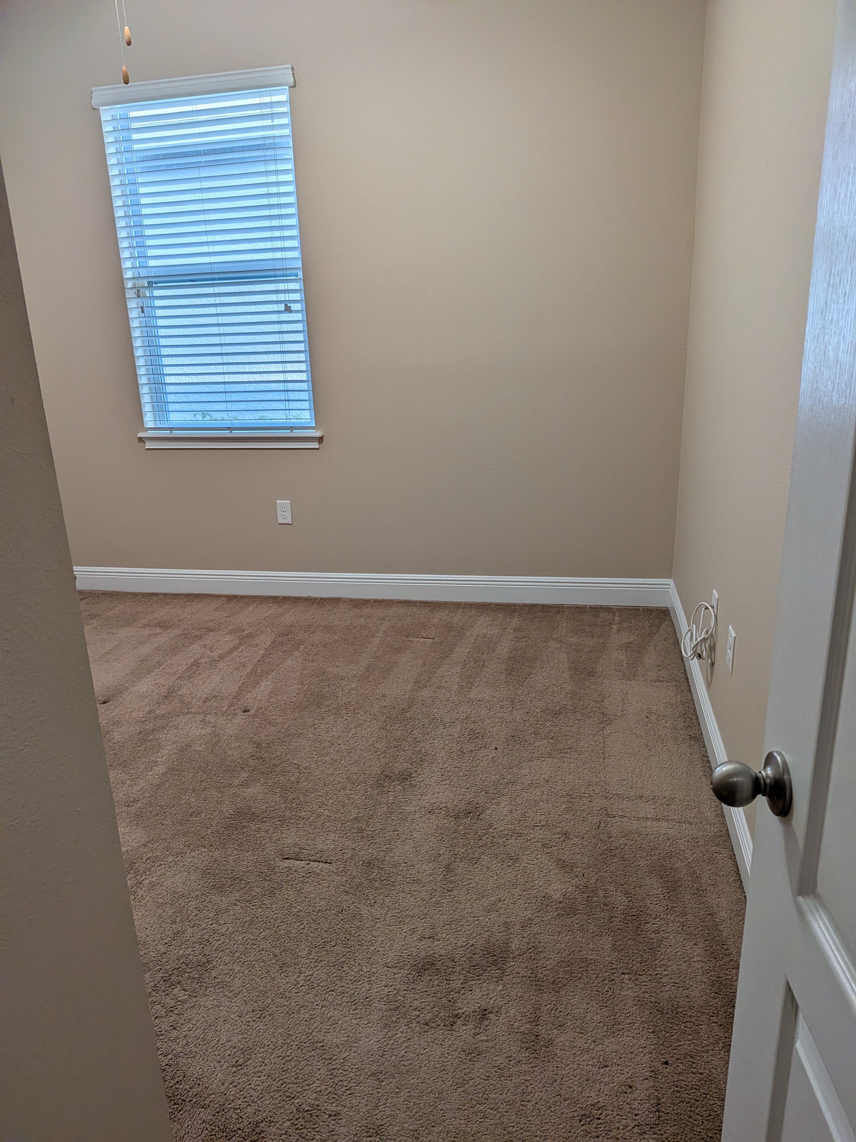 11517 Quiet Forest Drive – photo 4