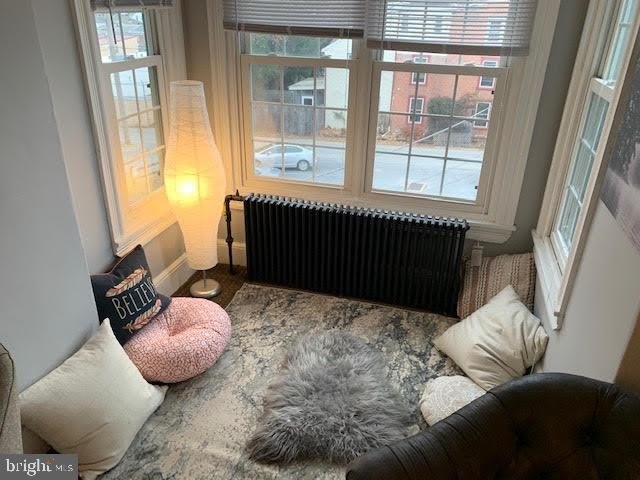 19 ELLIOTT Avenue – photo 5
