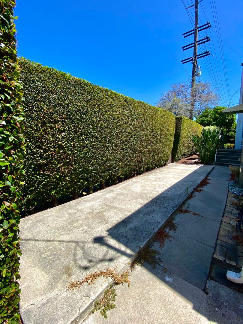 Santa Barbara Lower Eastside Duplex Unit – photo 2