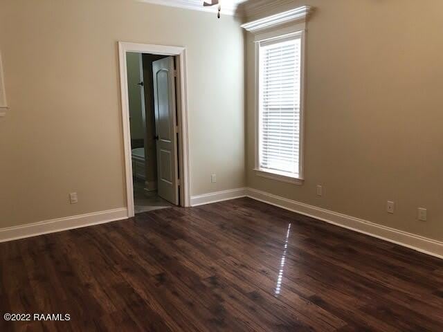 124 Clover Leaf Drive – photo 5