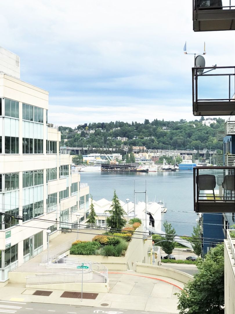 1Bd/1Ba Seattle Condo – photo 5