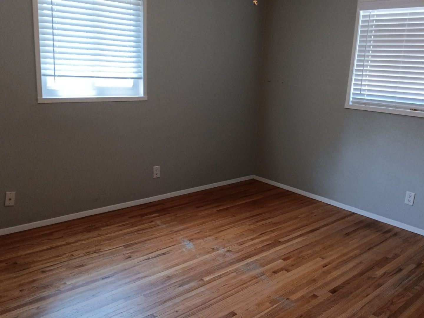 4 Bedroom, 2 Bathroom Home! Schedule a Showing! – photo 4