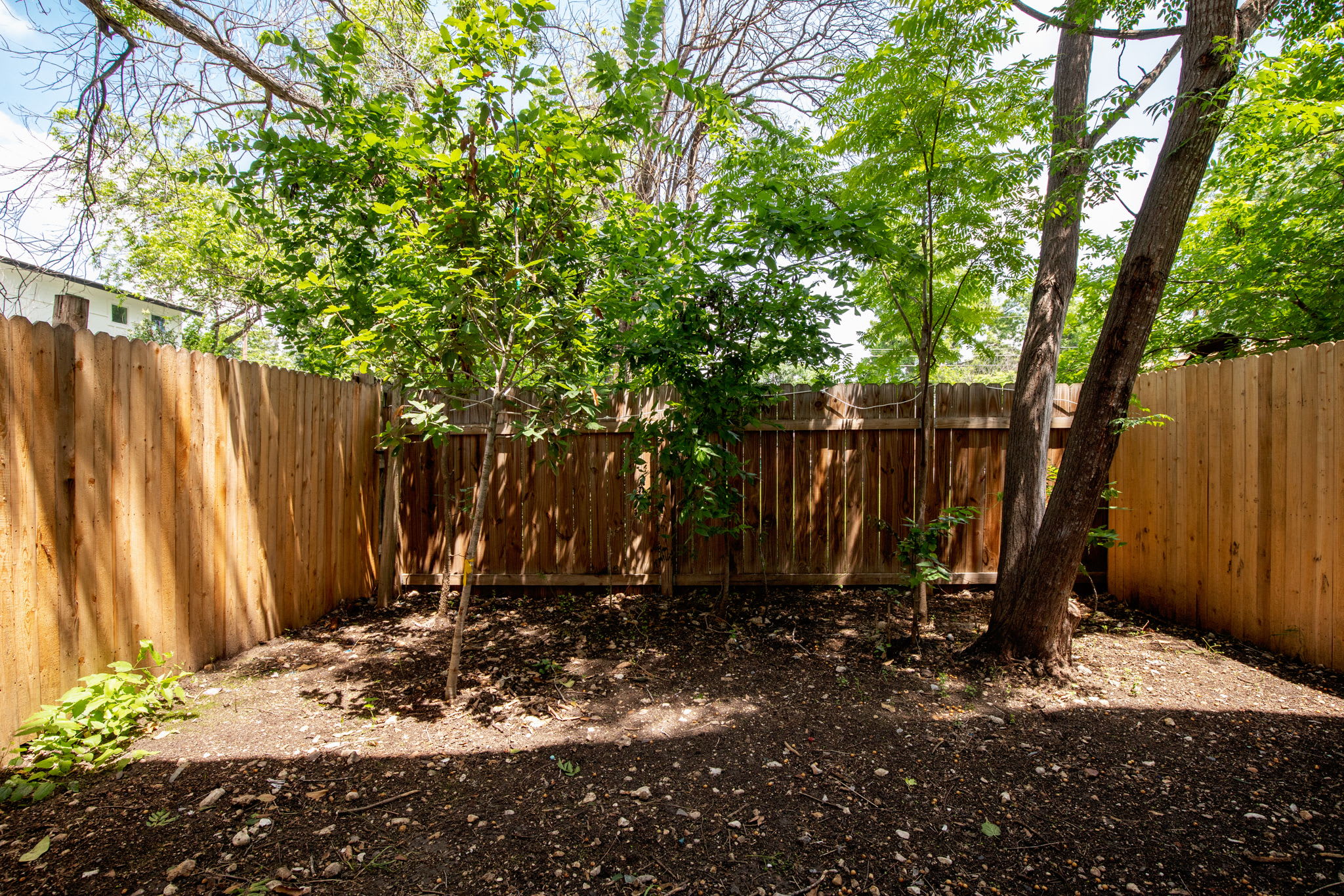 1835 Dawson St – photo 2