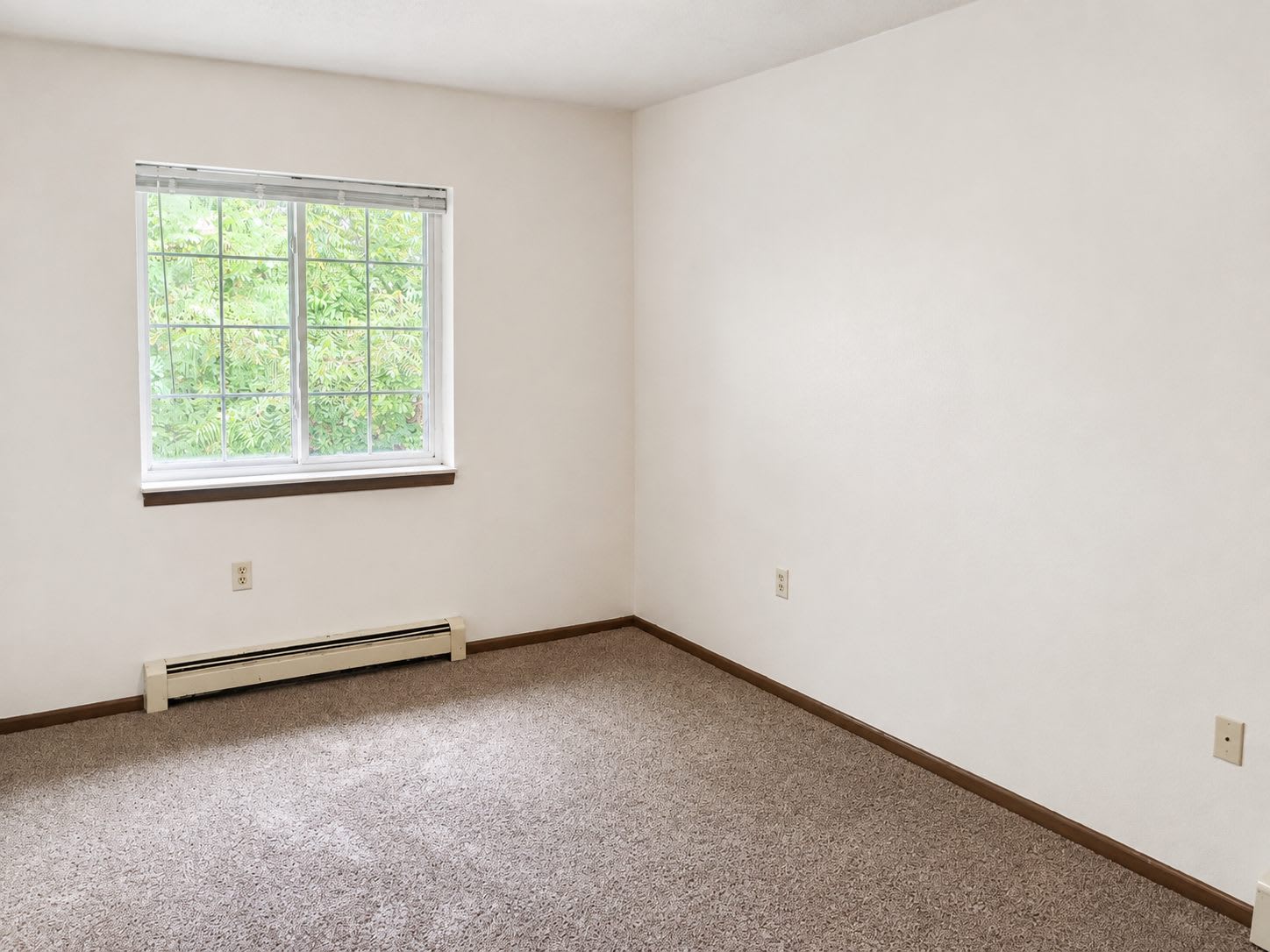 290 Spring St – photo 5