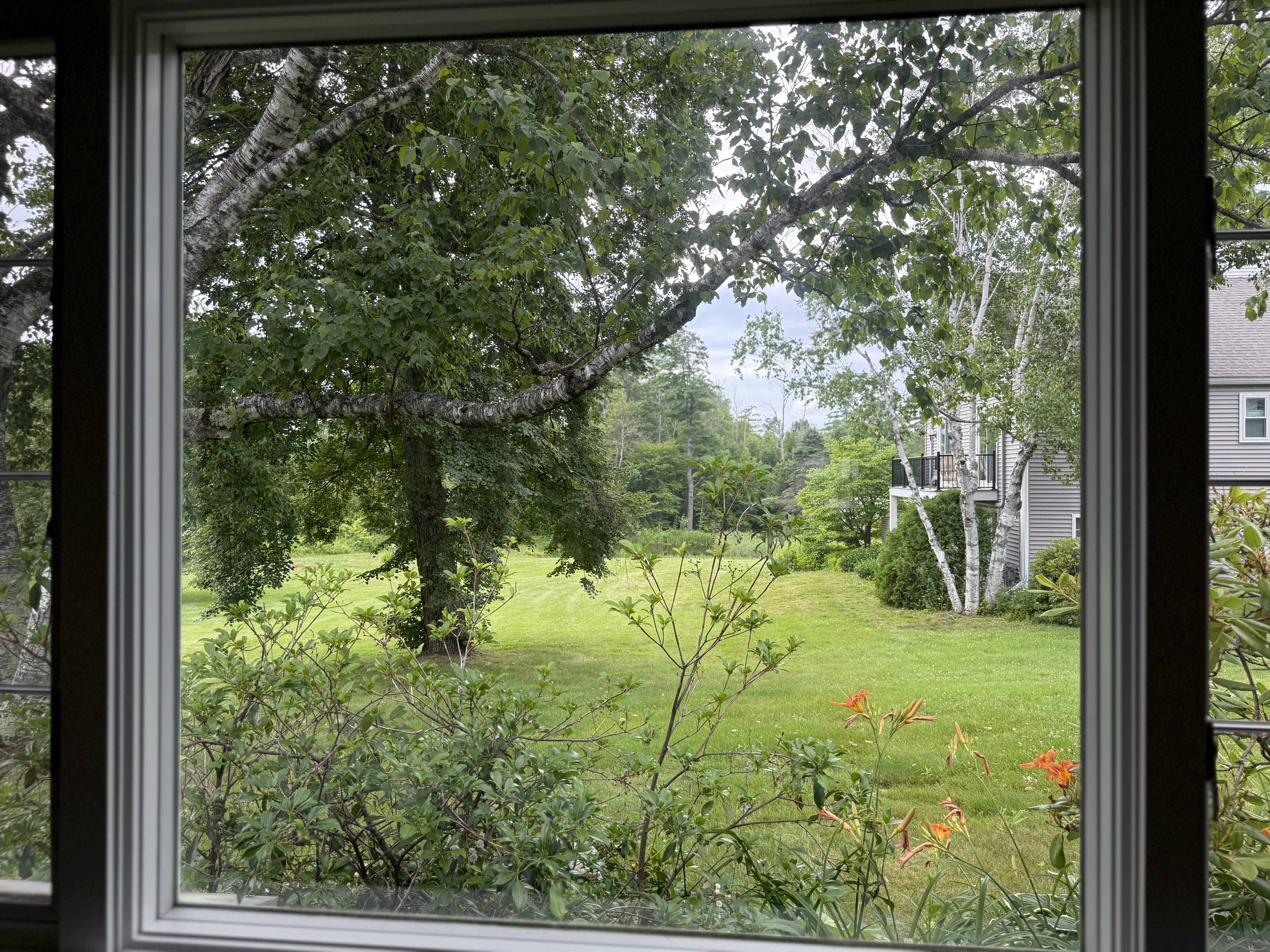 56 Hilltop Place – photo 5