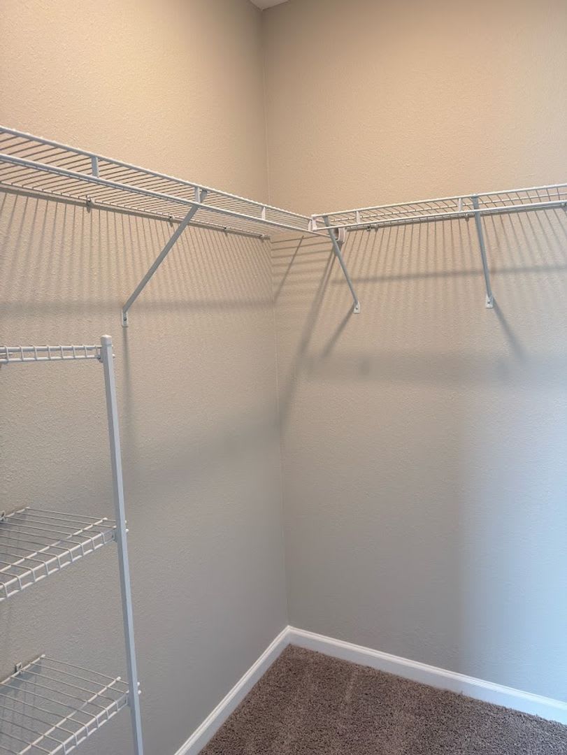 123 College Street – photo 5