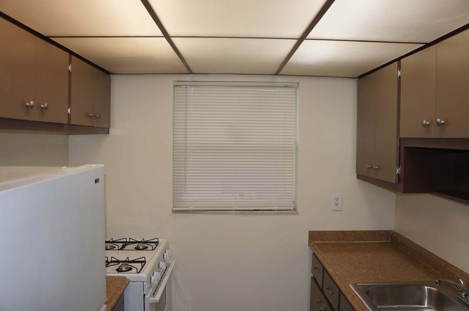 Large 1/1 – photo 4