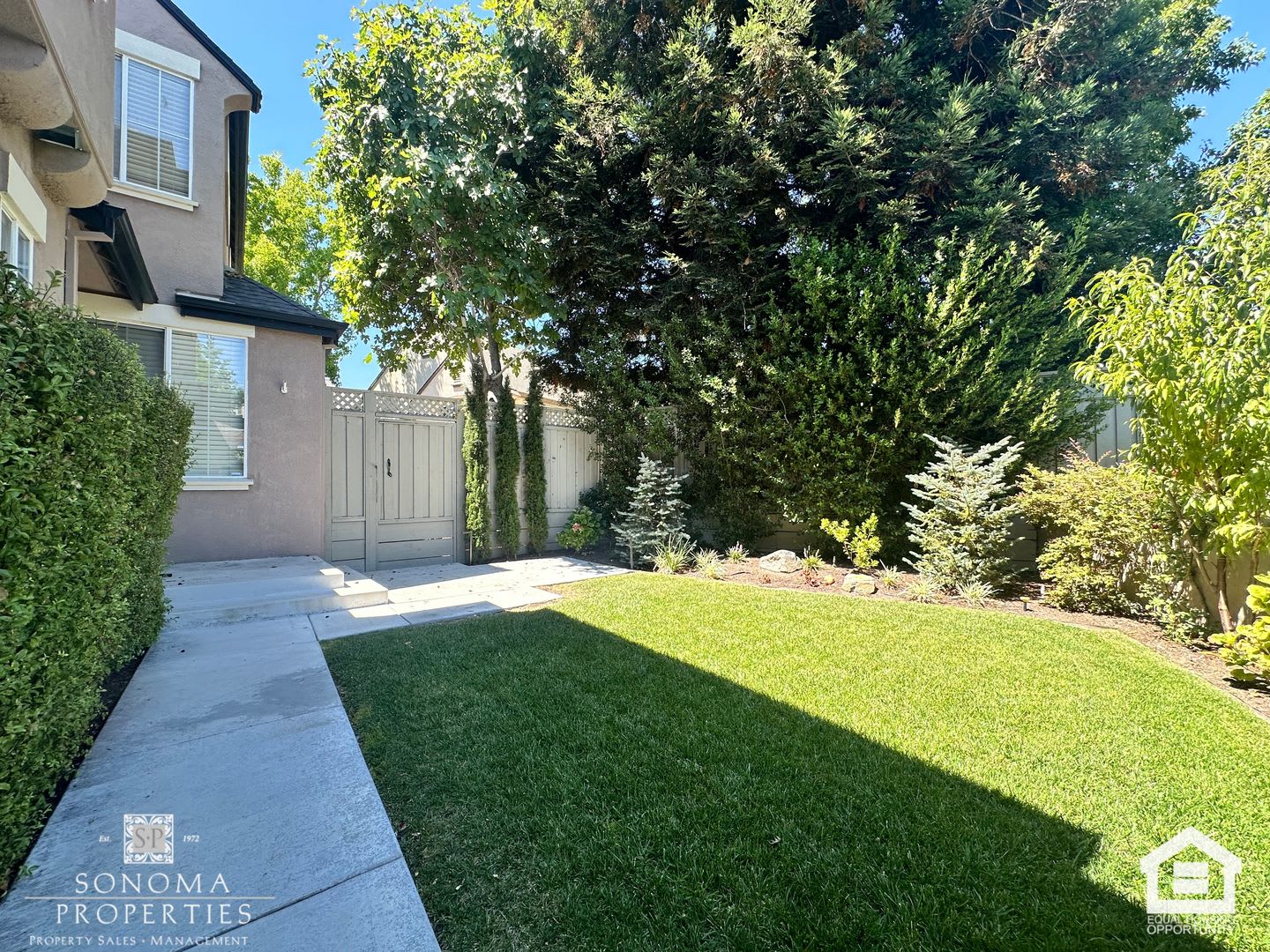 Gorgeous and Spacious 4BR/3BA Home in Petaluma – photo 4