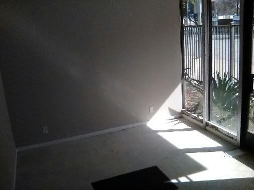 MLK – photo 5