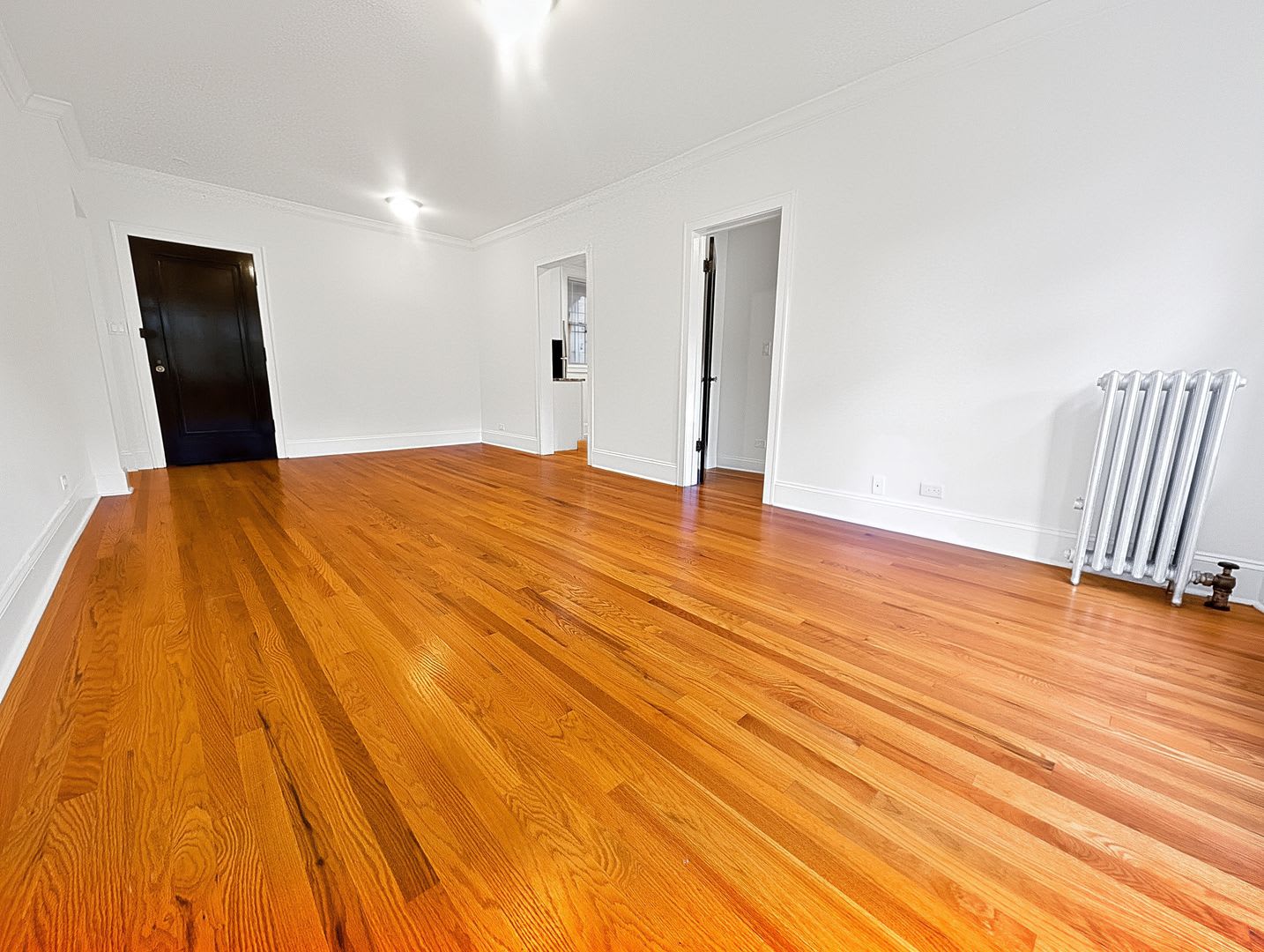 Bright and Sunny Updated 3-bed/1-bath near Loyola – photo 4