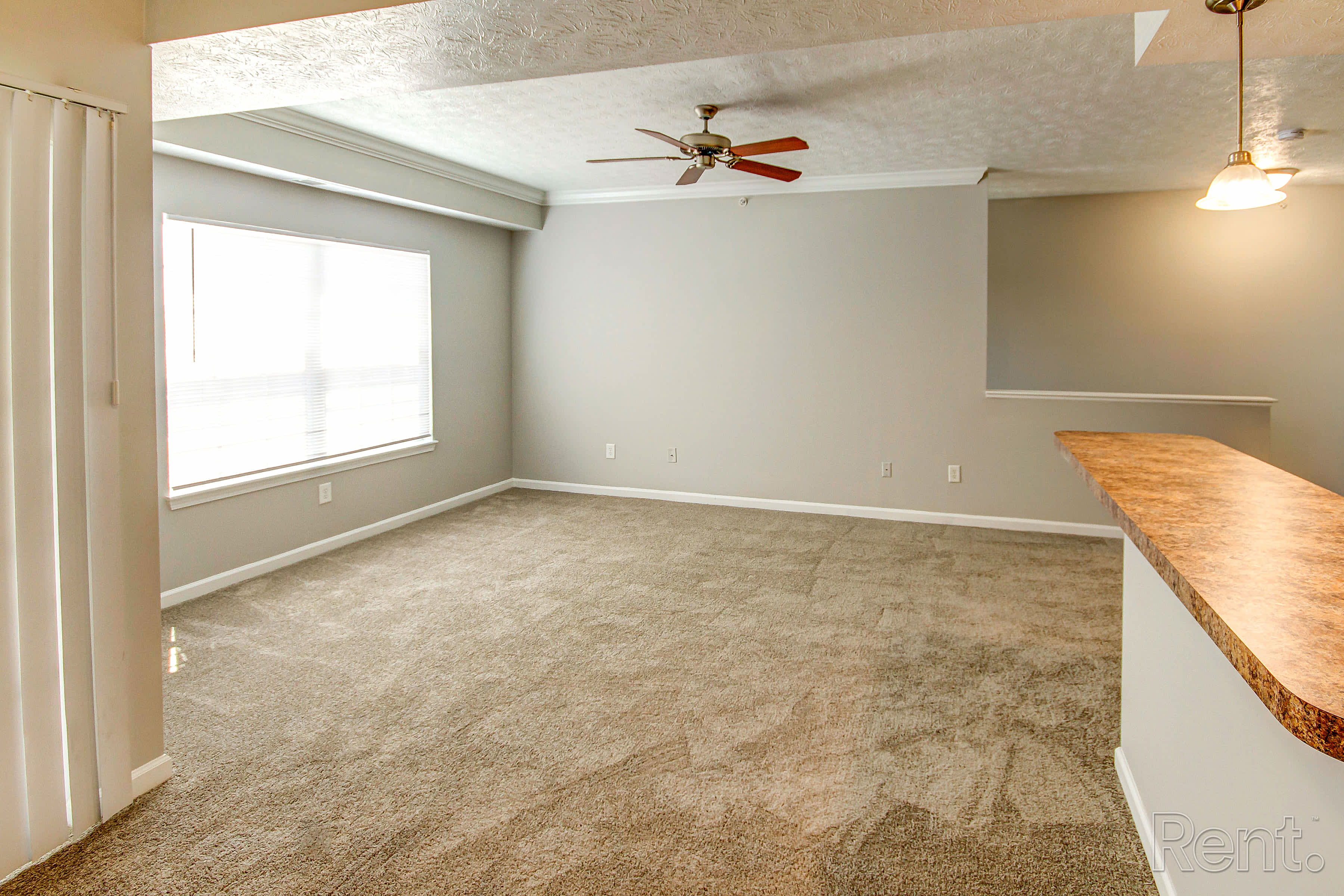 Trotters Pointe – photo 2