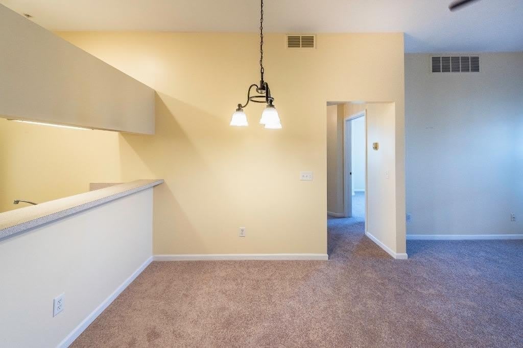 1236 Joyce Lane – photo 5