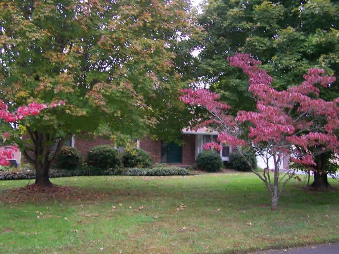 7225 Deville Way – photo 2