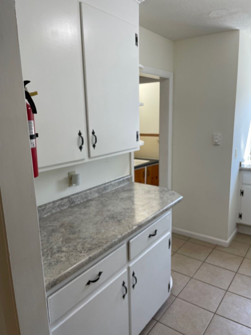 LARGE 2 BEDROOM TOWNHOUSE IN A PET FRIENDLY NEIGHBORHOOD – photo 2