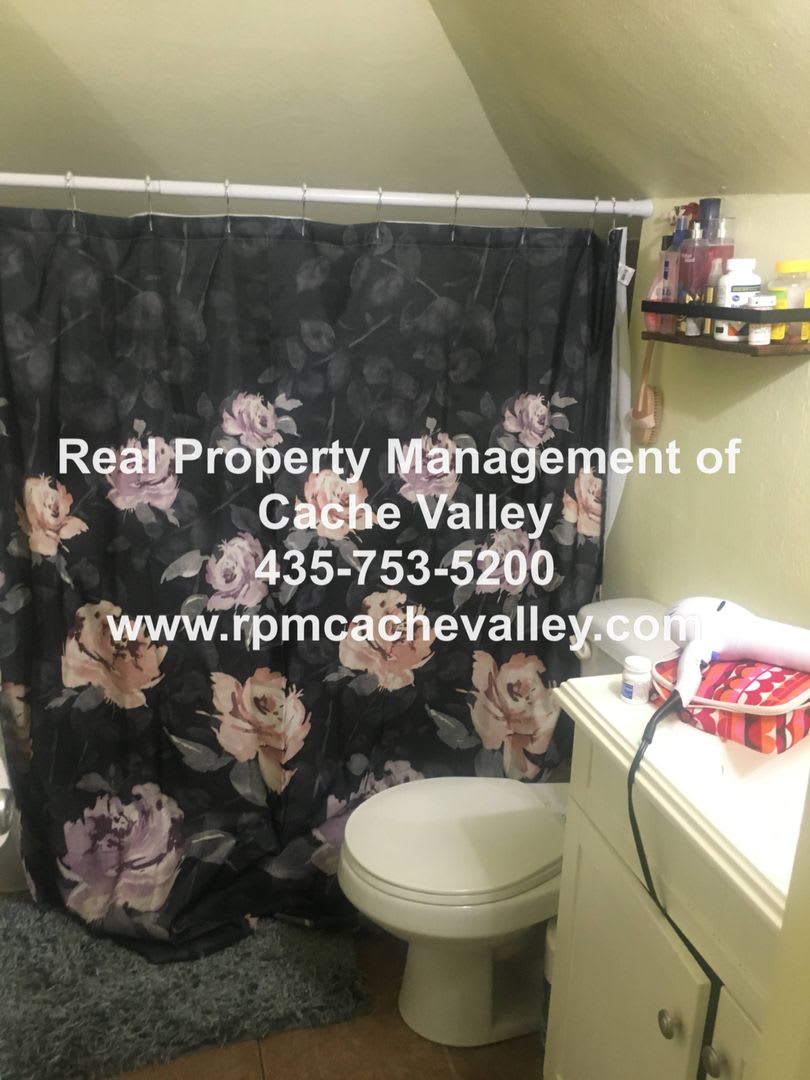 Charming 4 bedroom house. Available in September! pet friendly! – photo 3