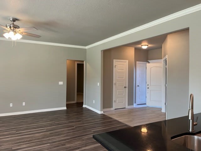 4338 Leafield Street – photo 5