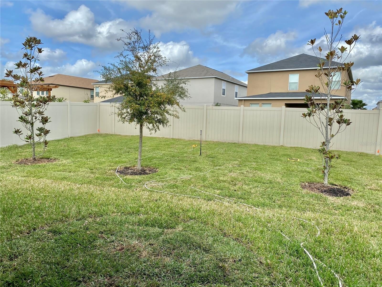 21036 Wistful Yearn Drive – photo 4