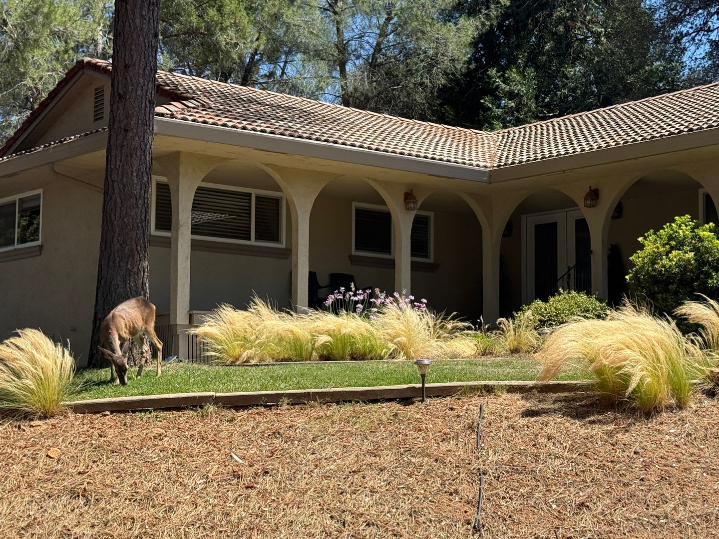 Beautiful Lake View Home for Rent in Lake of the Pines 3 Bed – photo 2