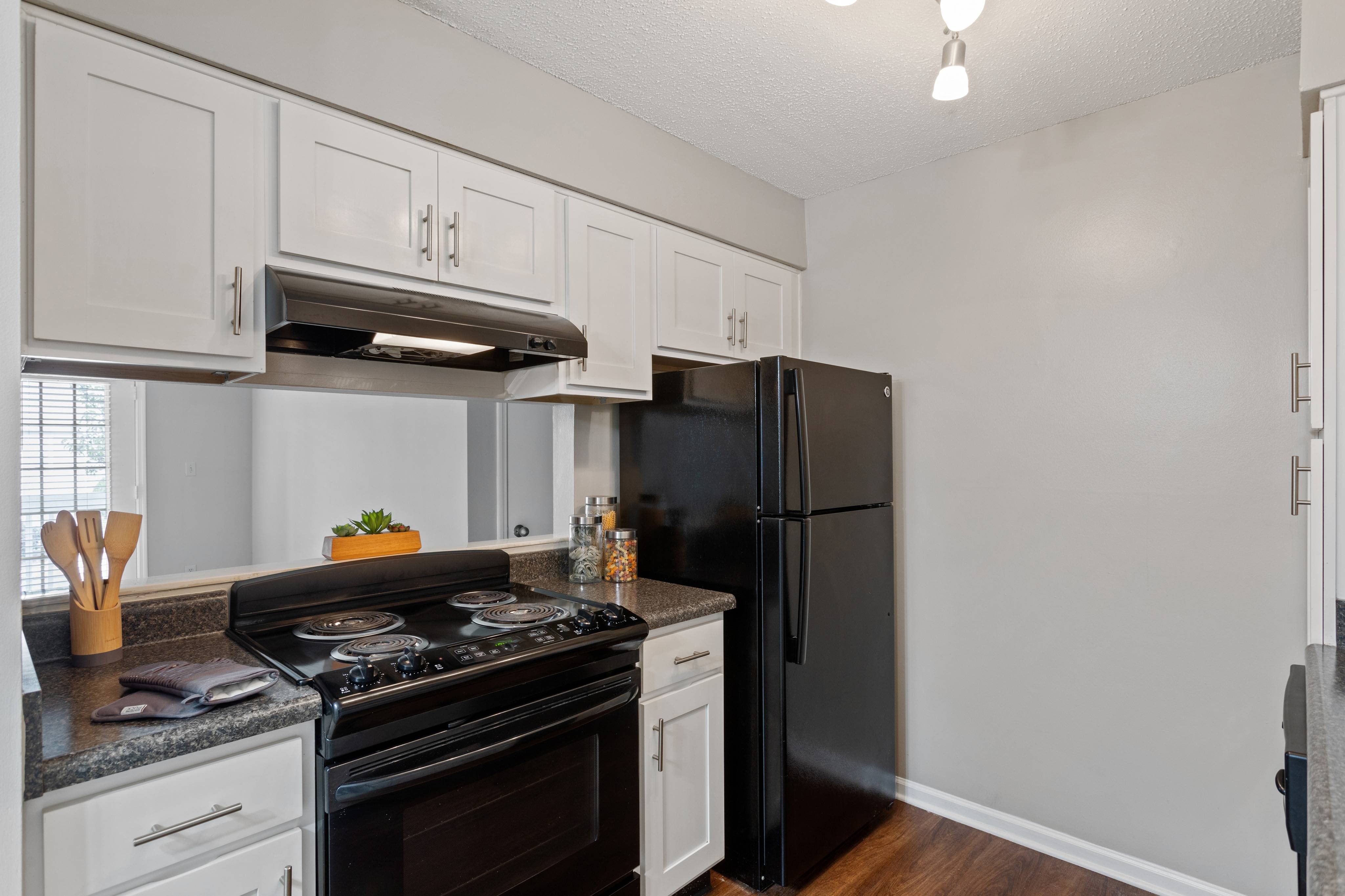 Villages at Spring Hill Apartments – photo 5