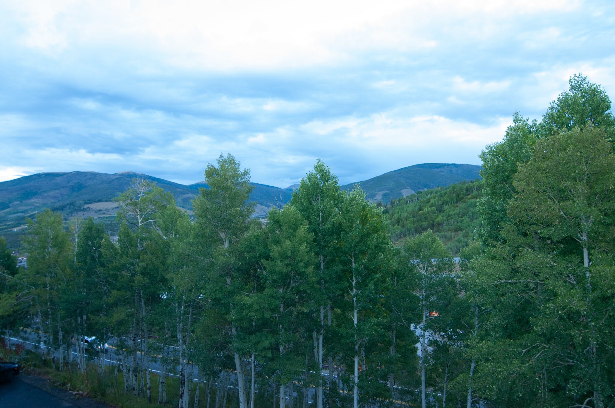2449 Ryan Gulch Rd – photo 5