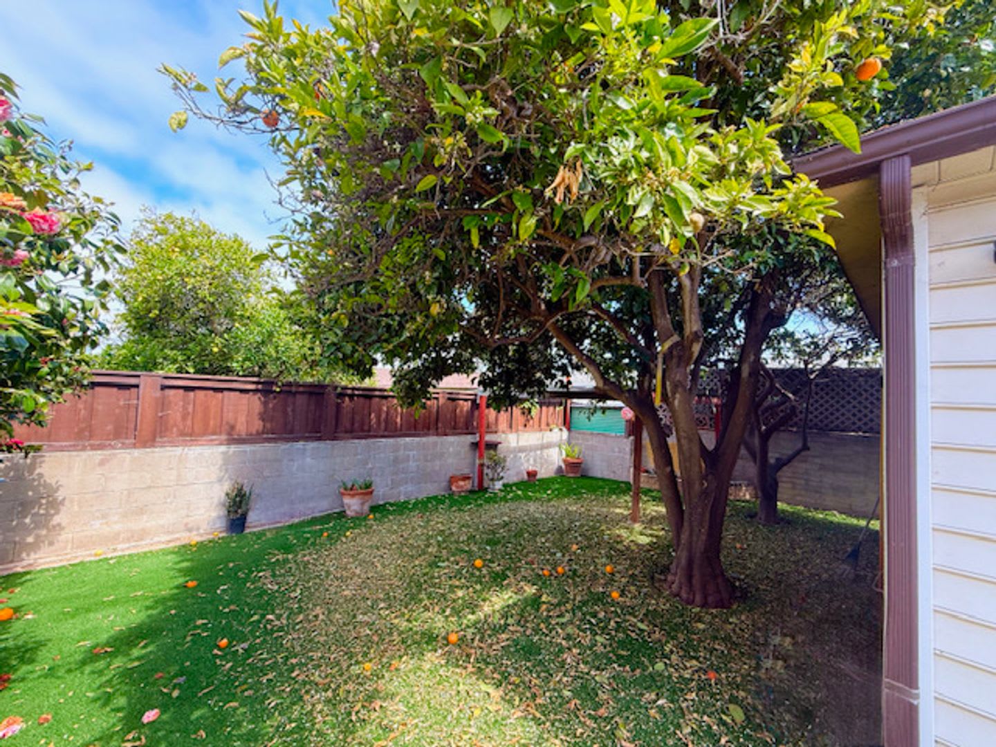 Beautiful 3/2 on a Great Block in Ocean Beach – photo 3