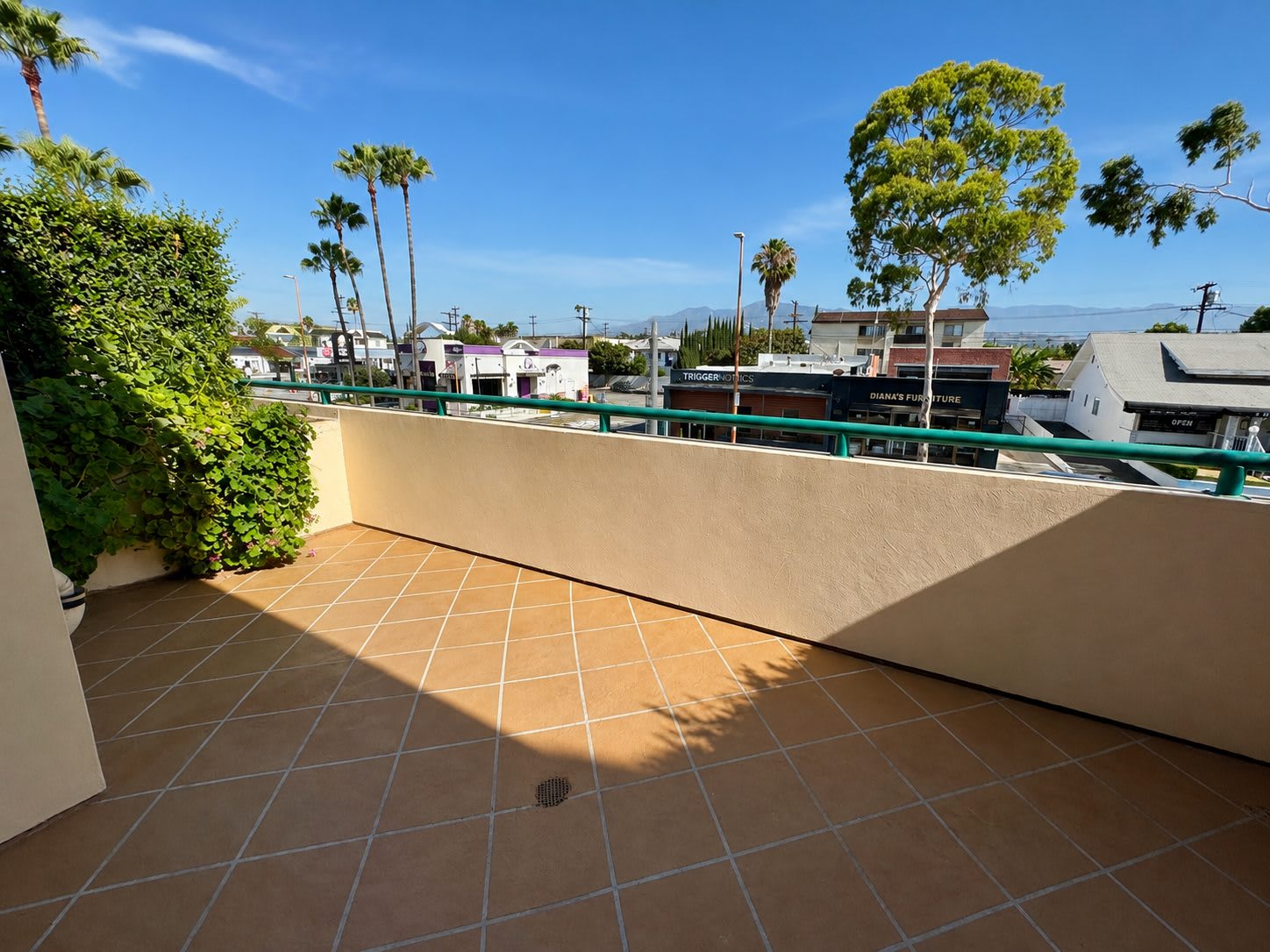 1130 E Colorado St – photo 5