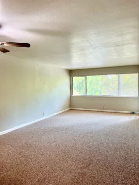 1731 Ellis Street 28 – photo 2