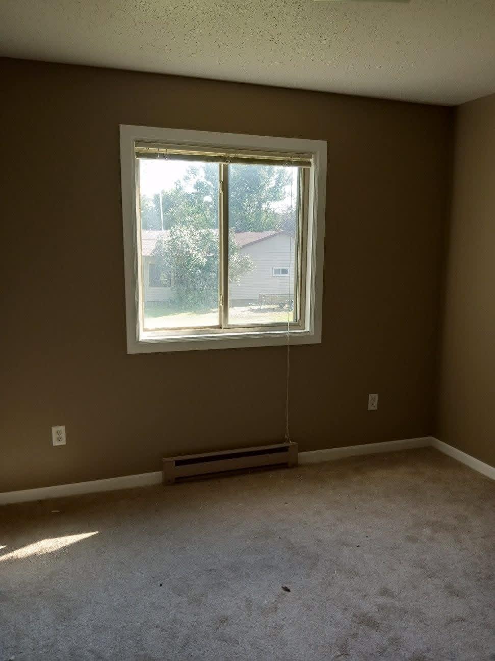 701 Lily Lane – photo 5