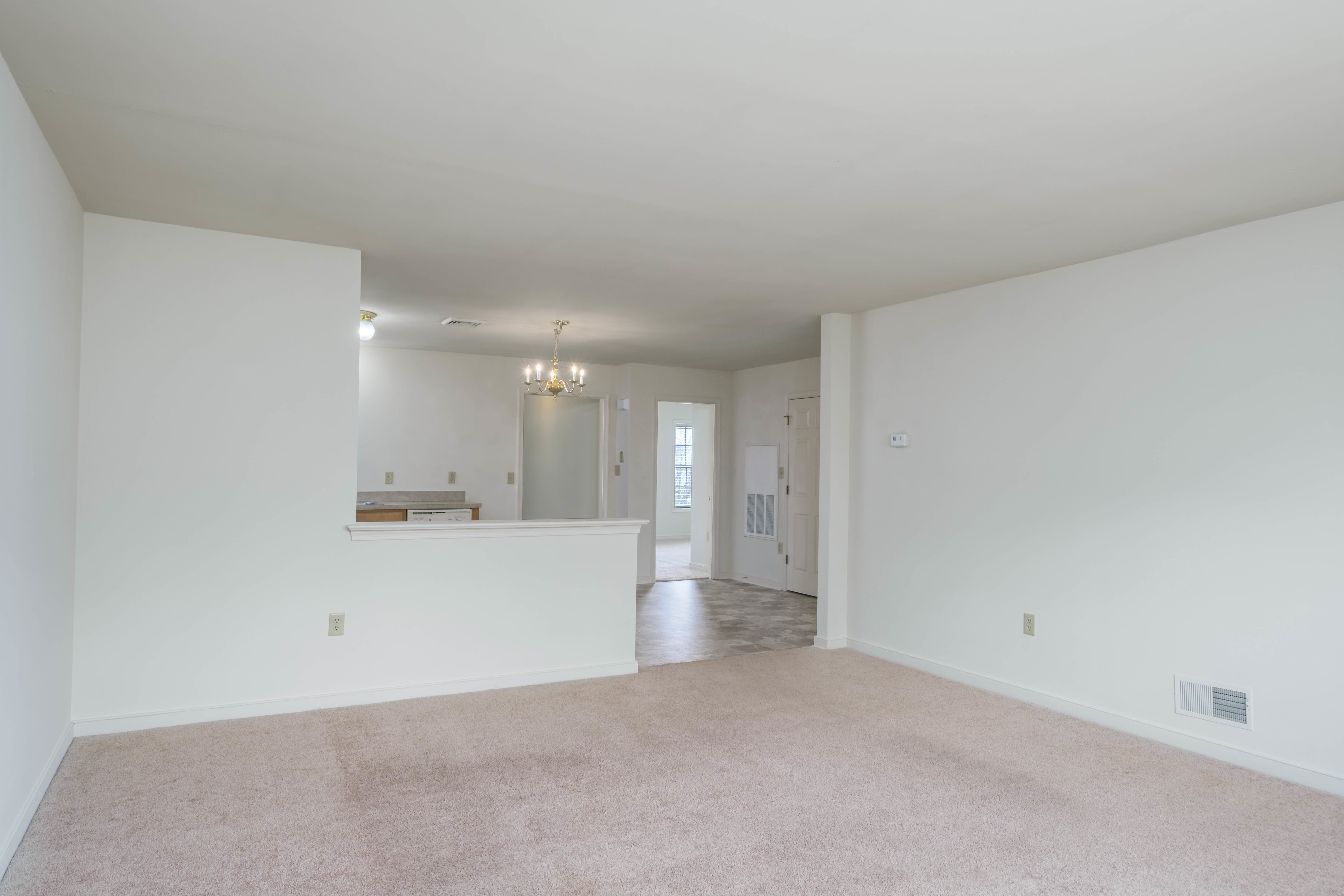110 Clapton Court – photo 3
