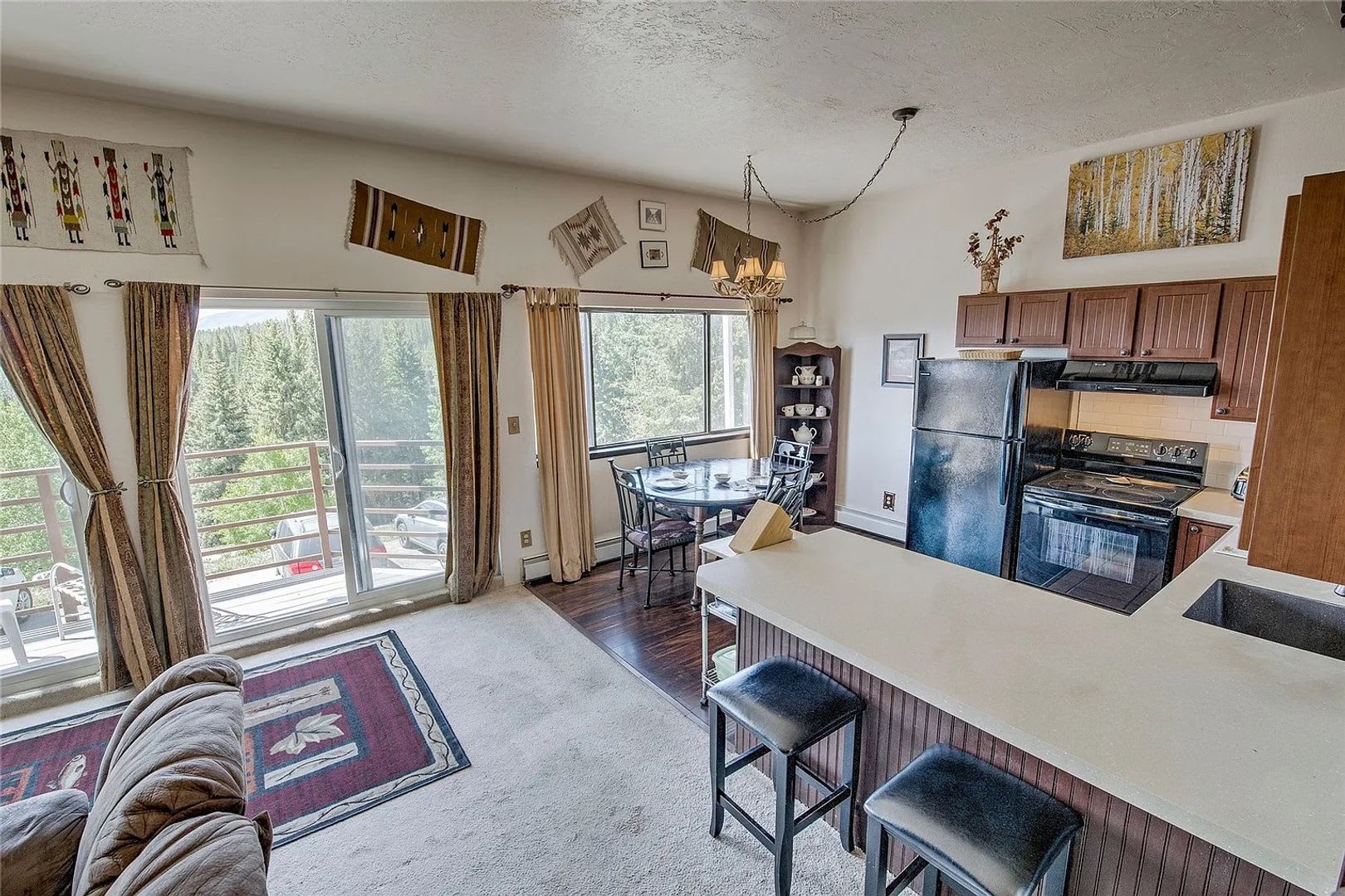Buffalo Ridge Condo – photo 3