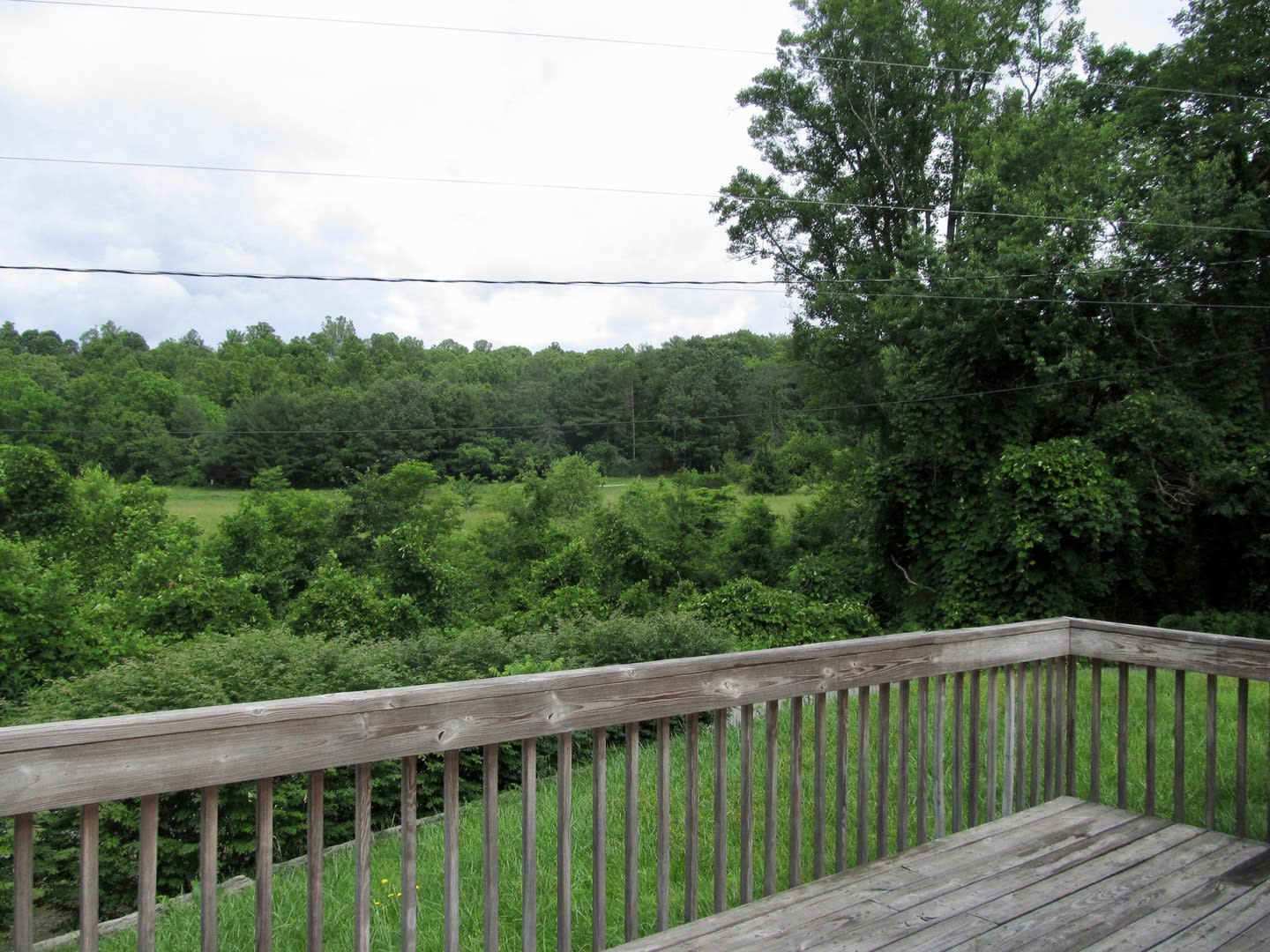 East Asheville Duplex – photo 2