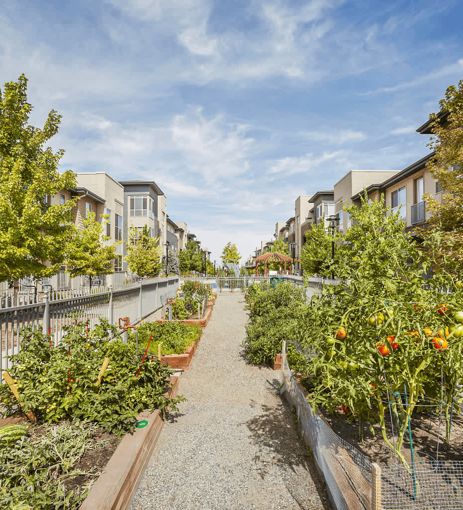 The Aster Conservatory Green – photo 2