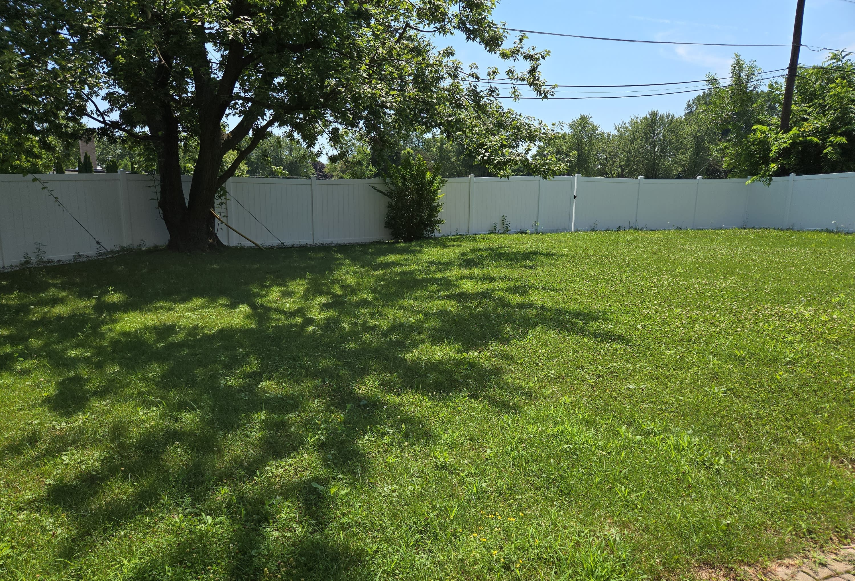 635 Cumberland Street – photo 3