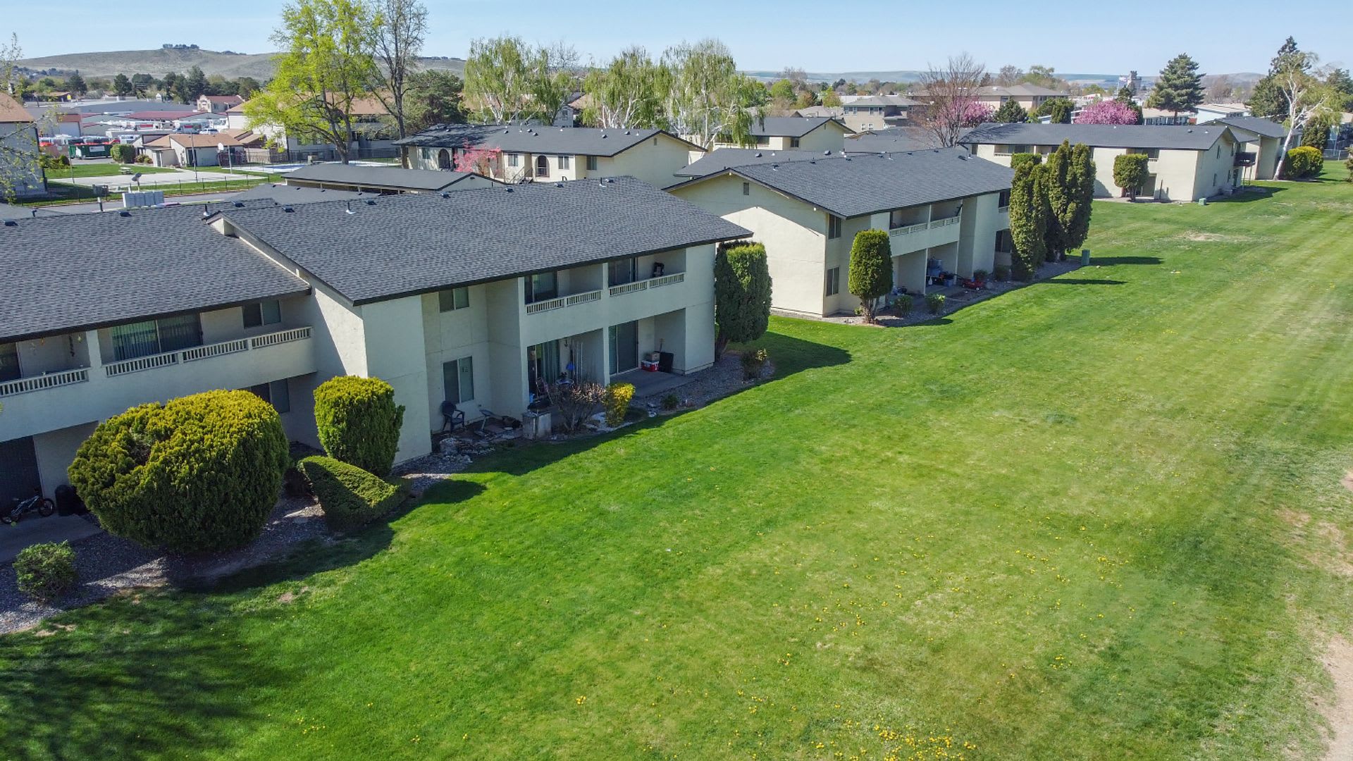Pepper Tree Village Apartments – photo 4