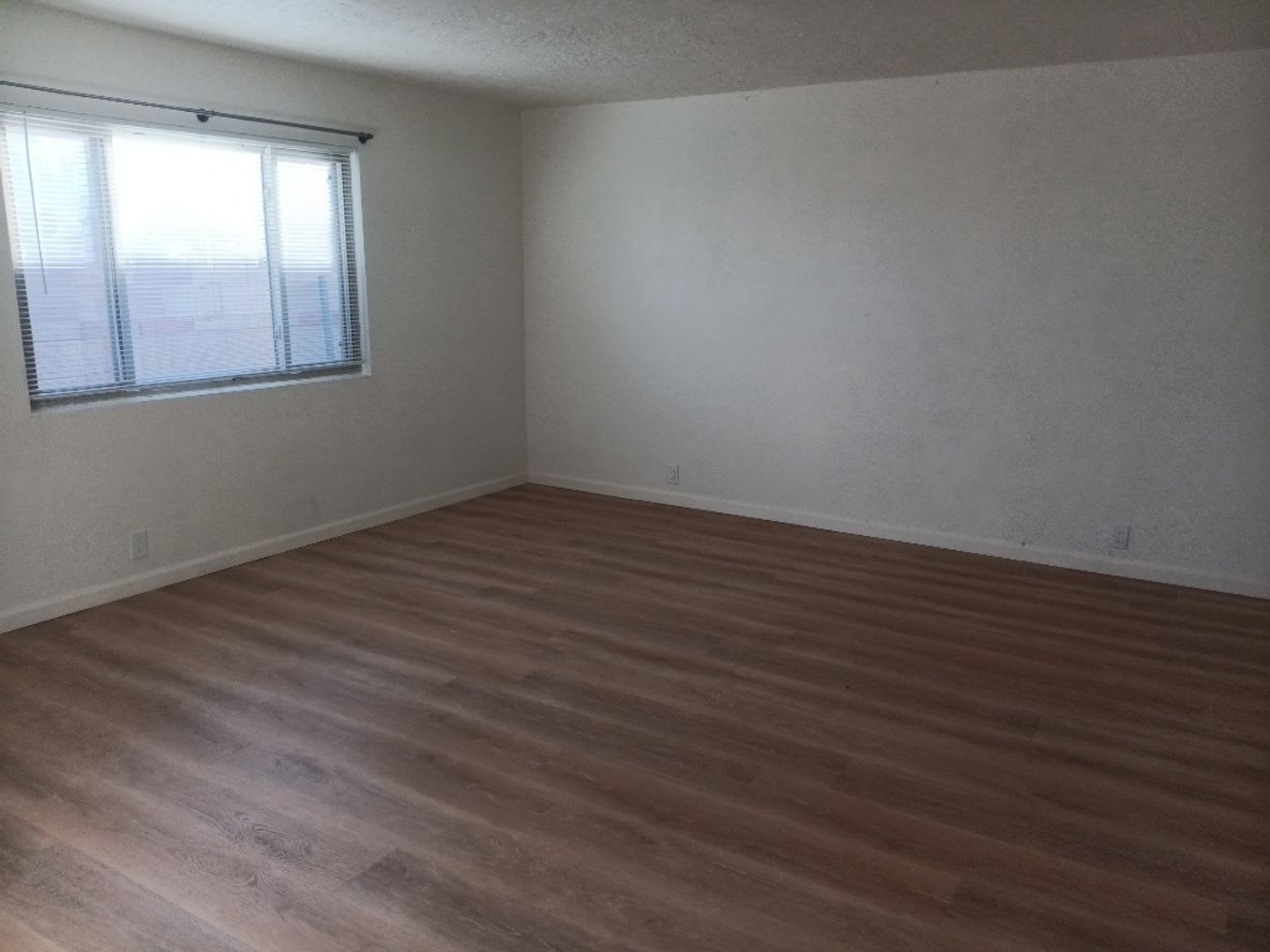 Charming 2 Bedroom 1 Bathroom Showings Available – photo 3