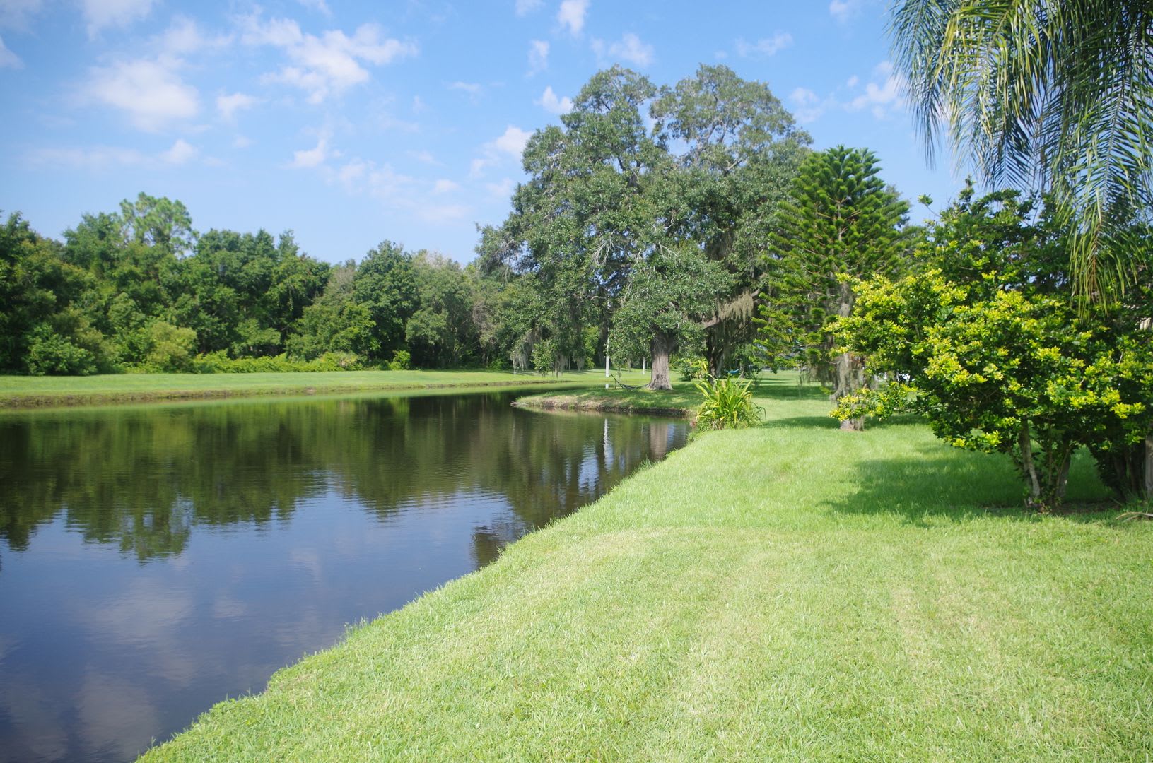 Pond Views-Updated Brandon Home! – photo 5