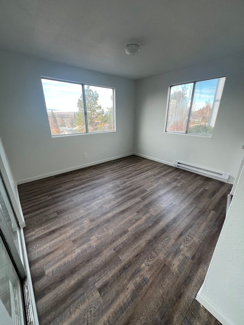 Newly Renovated – photo 3