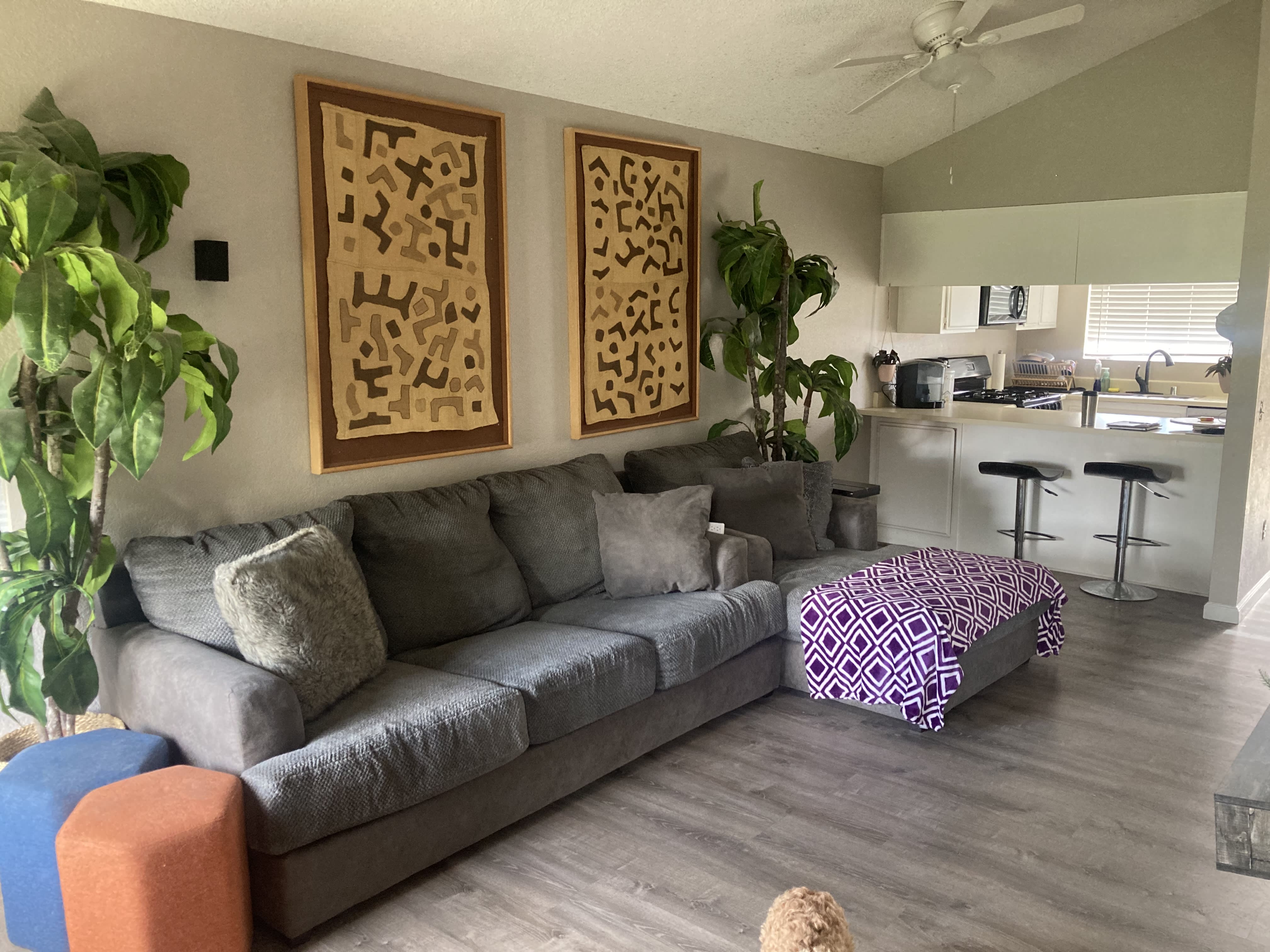 315 Tava Lane – photo 5