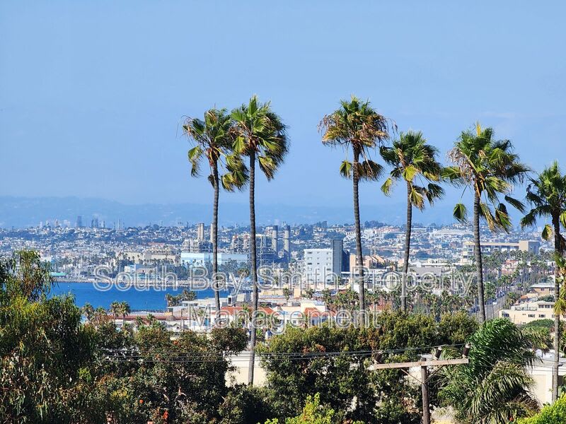 420 Palos Verdes Blvd – photo 4