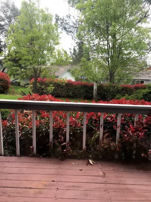 Spacious Jackson Townhome – photo 2