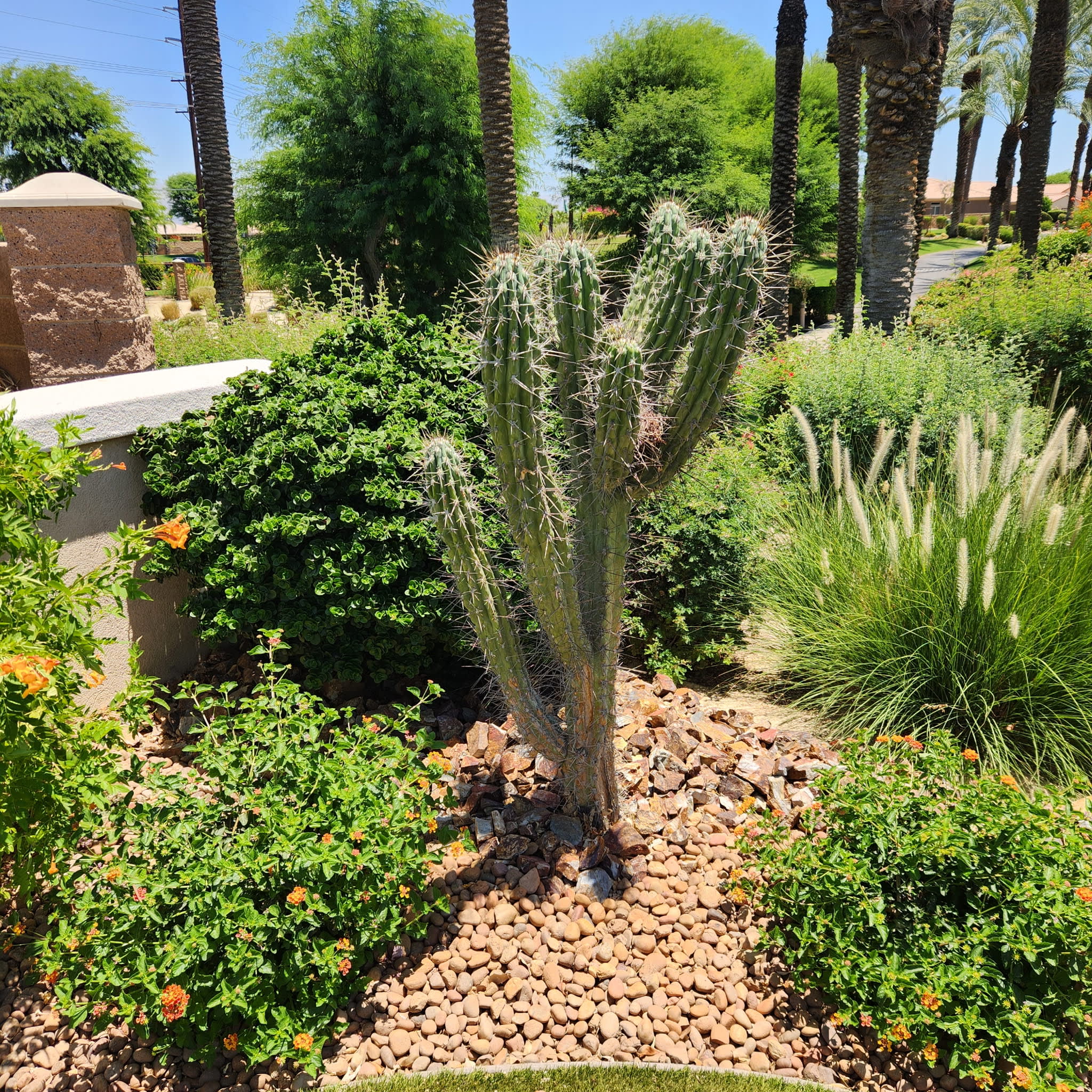 44010 Royal Troon Dr – photo 4