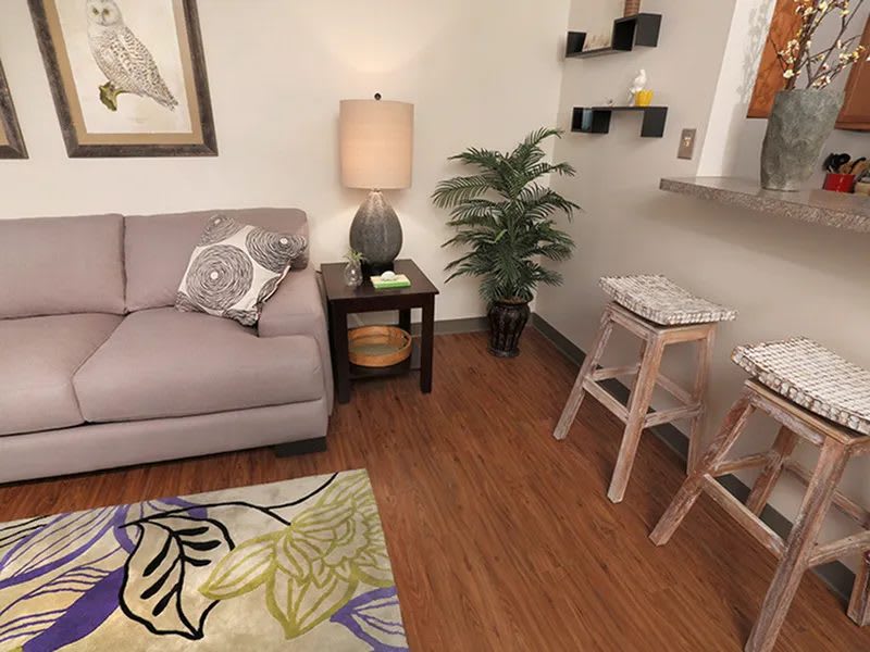 College Suites at City Station South – photo 2
