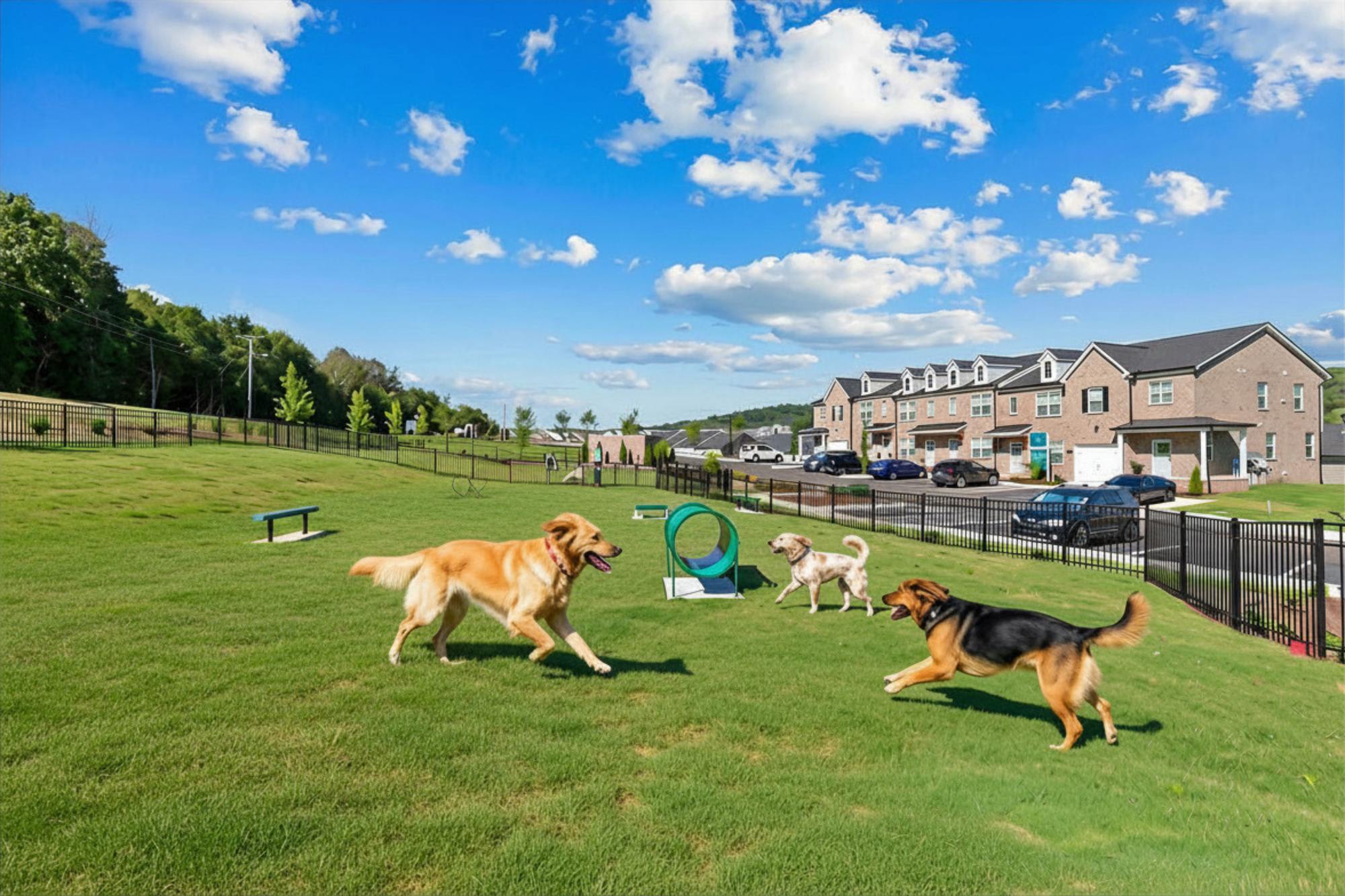 Blakeney Commons – photo 1