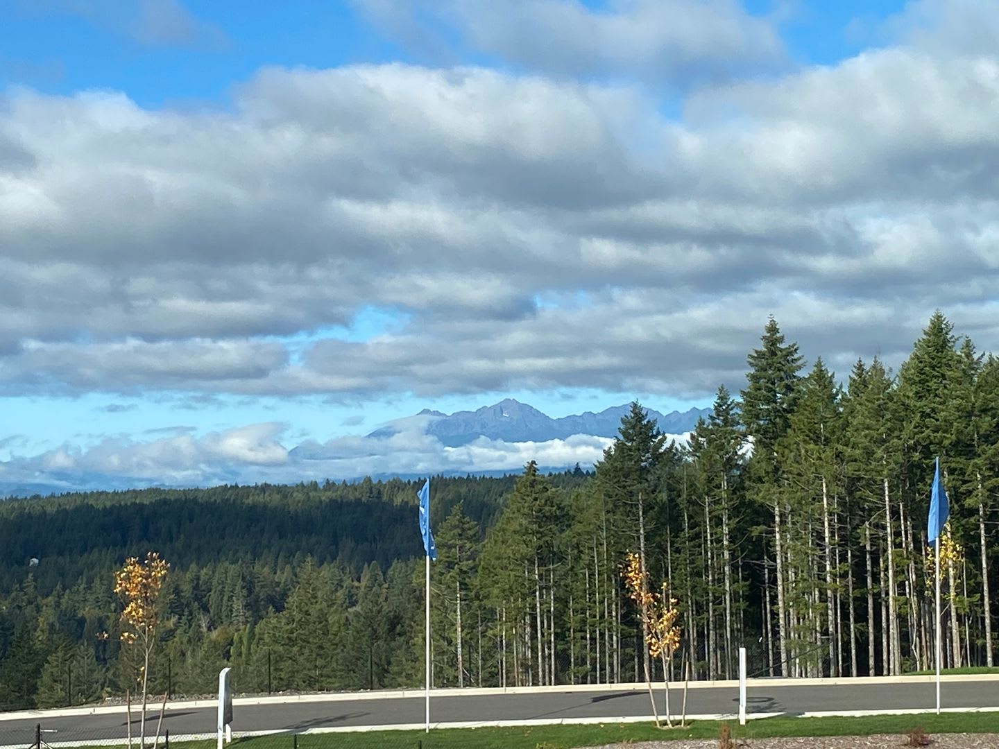 Brand New Home With Fantastic Views In Belfair – photo 5